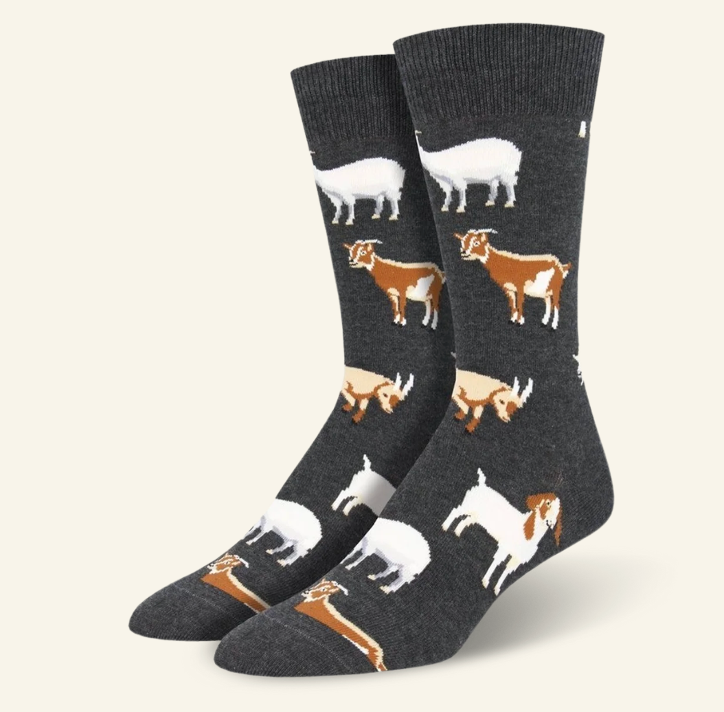 SOCKS SILLY BILLY CHARCOAL HEATHER