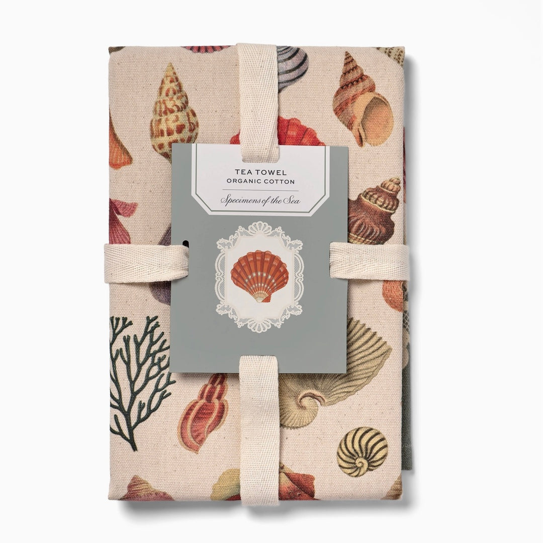 TEA TOWEL COTTON SPECIMENS OF THE SEA