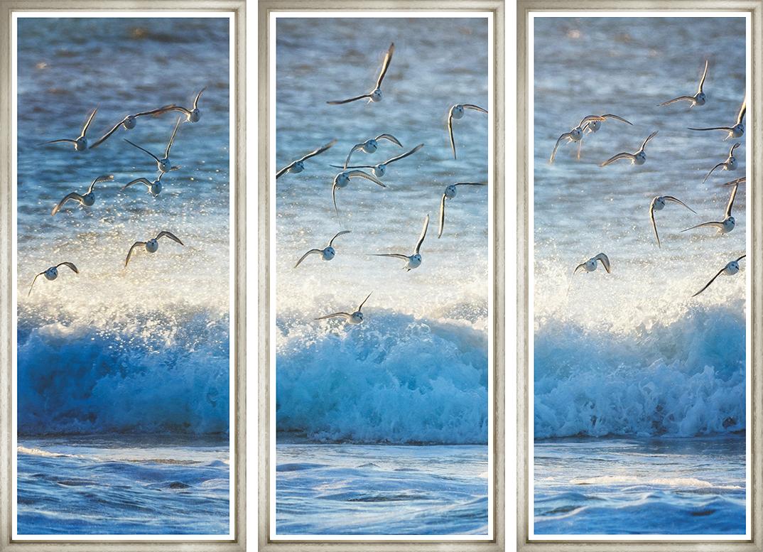 ART EARLY BIRDS 50X22