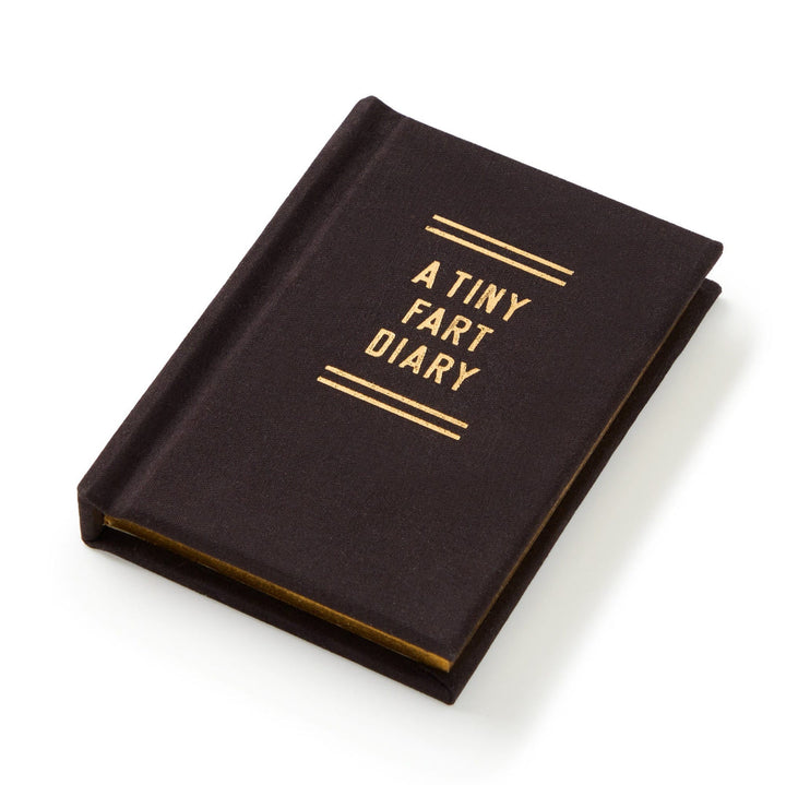 DIARY TINY FART