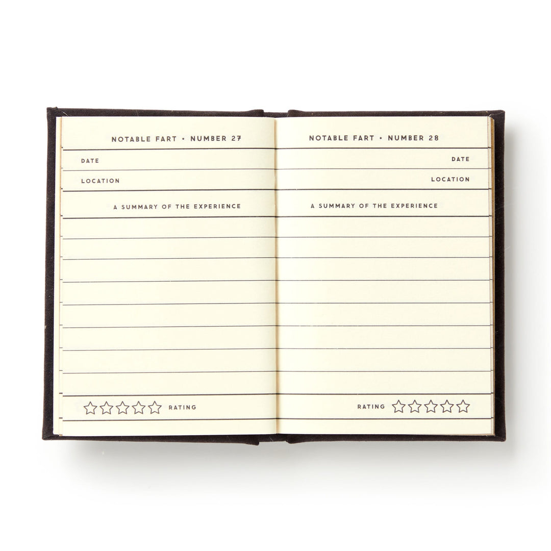 DIARY TINY FART
