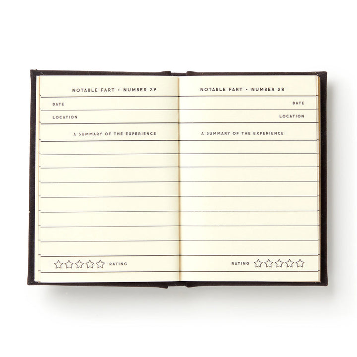 DIARY TINY FART