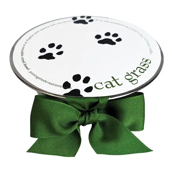 PET BOWL CAT GRASS