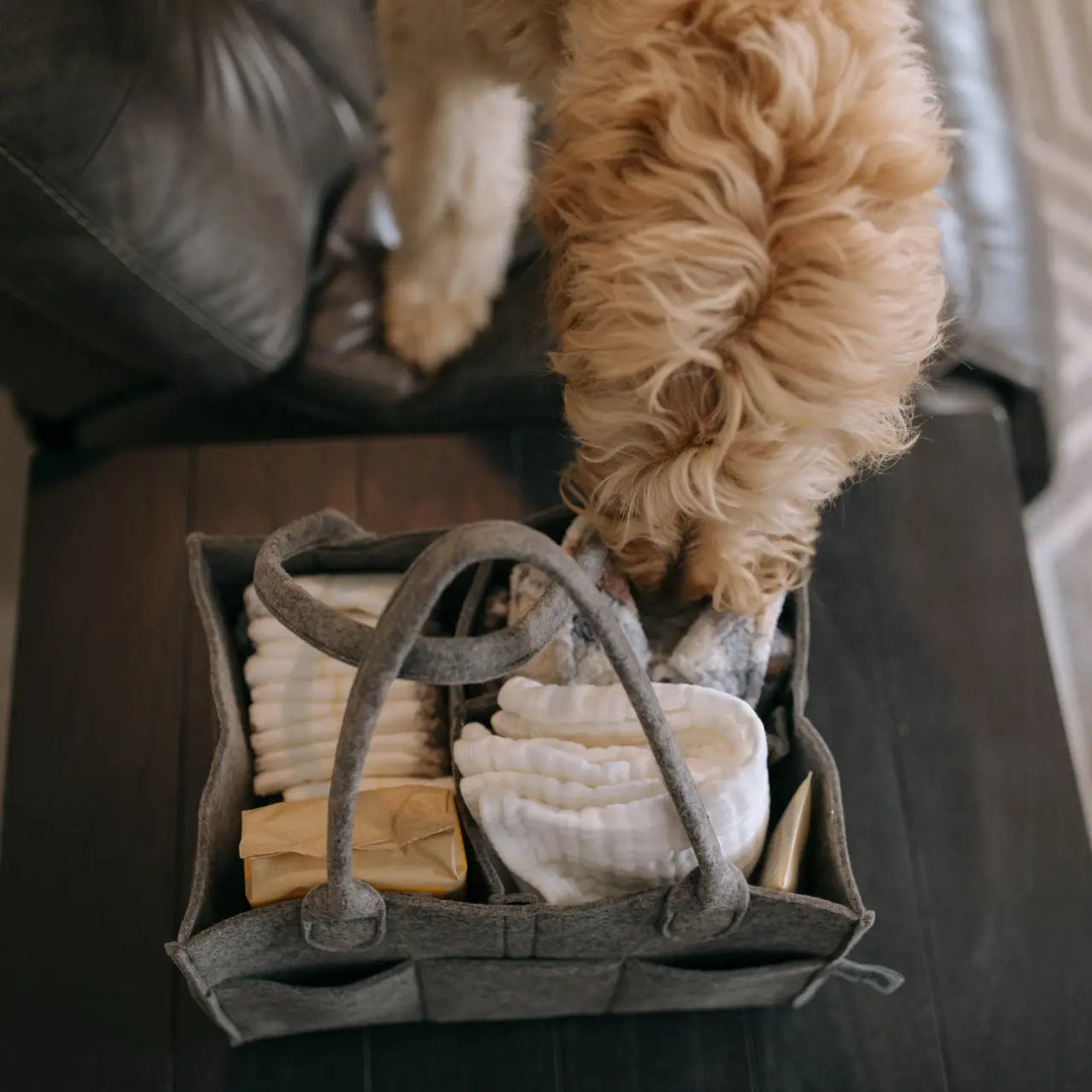 CADDY DIAPER PEPPERCORN