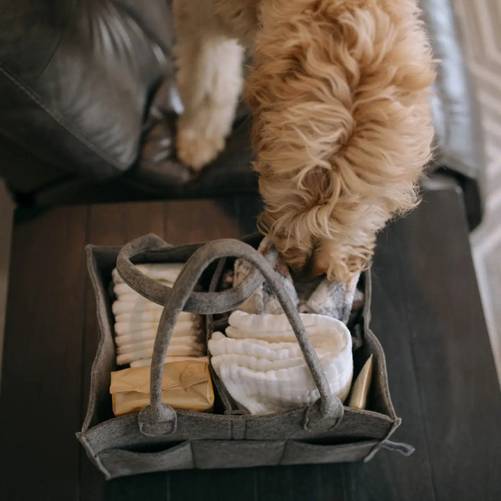 CADDY DIAPER PEPPERCORN