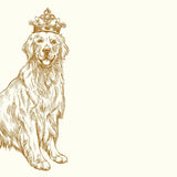 NOTES ROYAL GOLDEN RETRIEVER A6