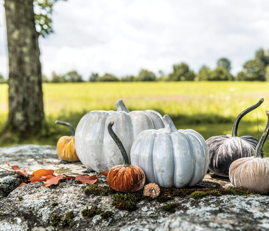 PUMPKIN CRYSTALLINE MEDIUM