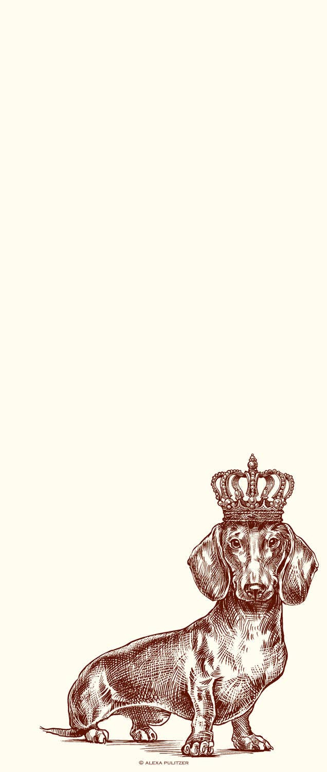 LONG PAD ROYAL DACHSHUND