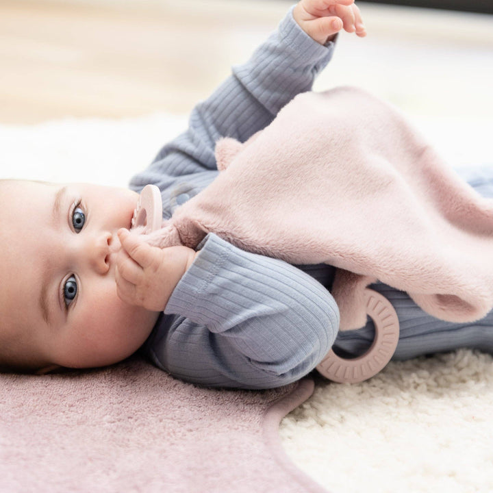 TEETHER BUDDY CHARLOTTE THE CAT