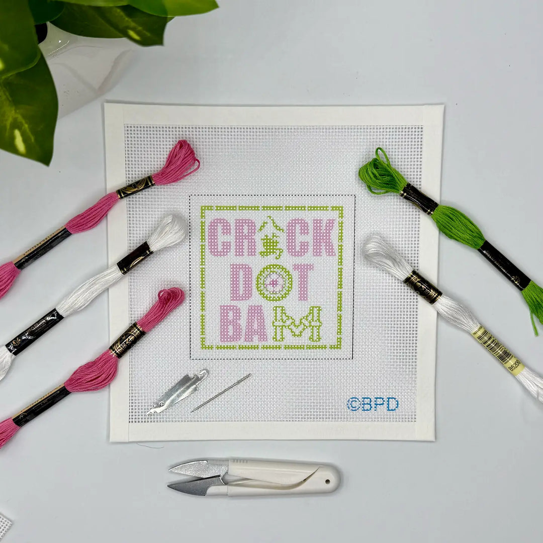 NEEDLEPOINT KIT CRACK DOT BAM