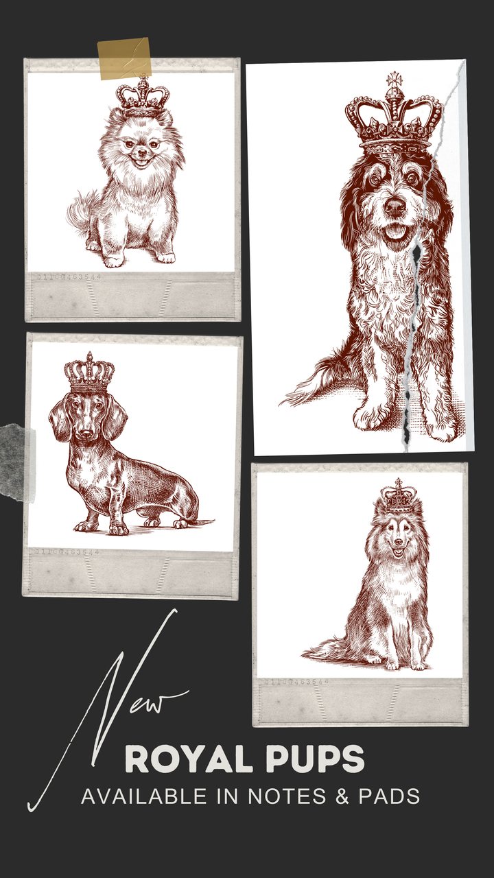 LONG PAD ROYAL DACHSHUND