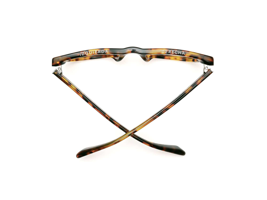 READERS D28 TERRAPIN