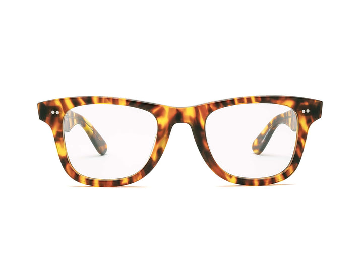 READERS PORGY TERRAPIN