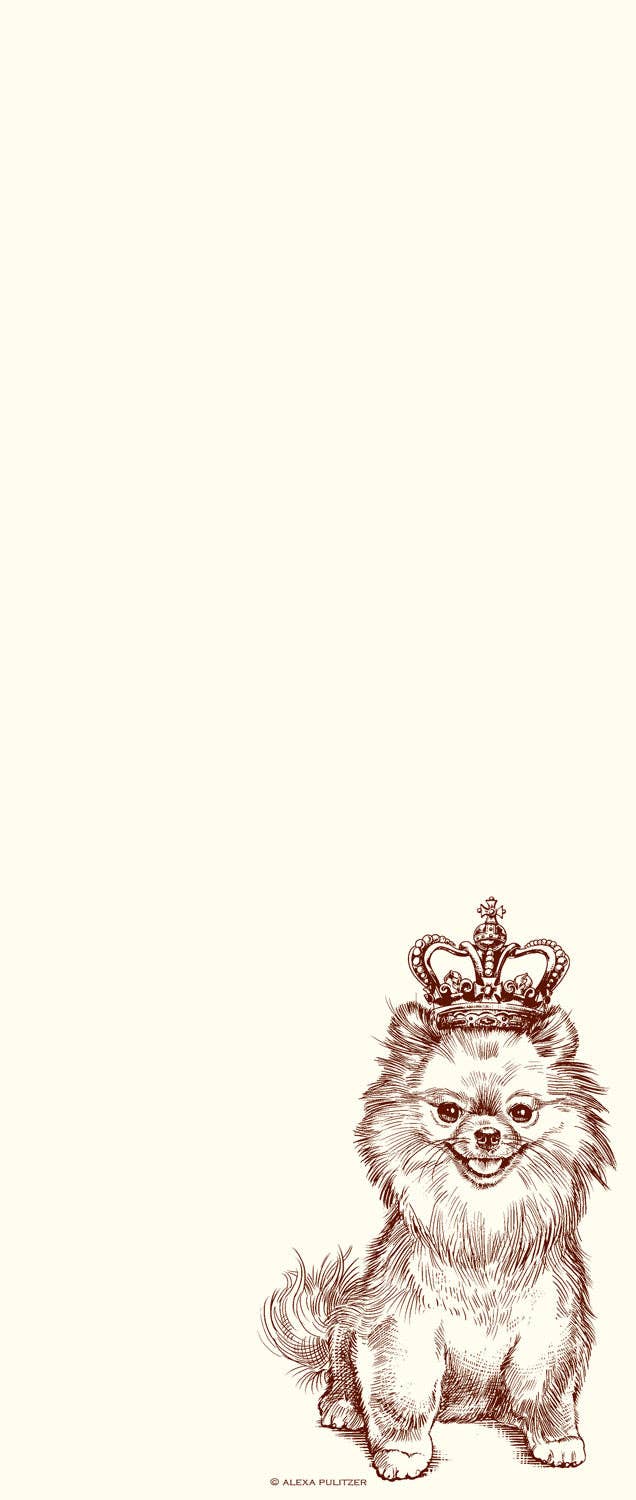 LONG PAD ROYAL POMERANIAN