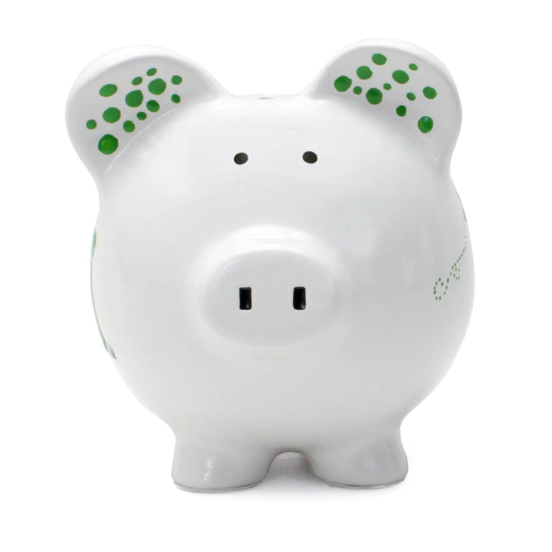 BANK PIGGY DINOSAURS & DRAGONFLIES LARGE