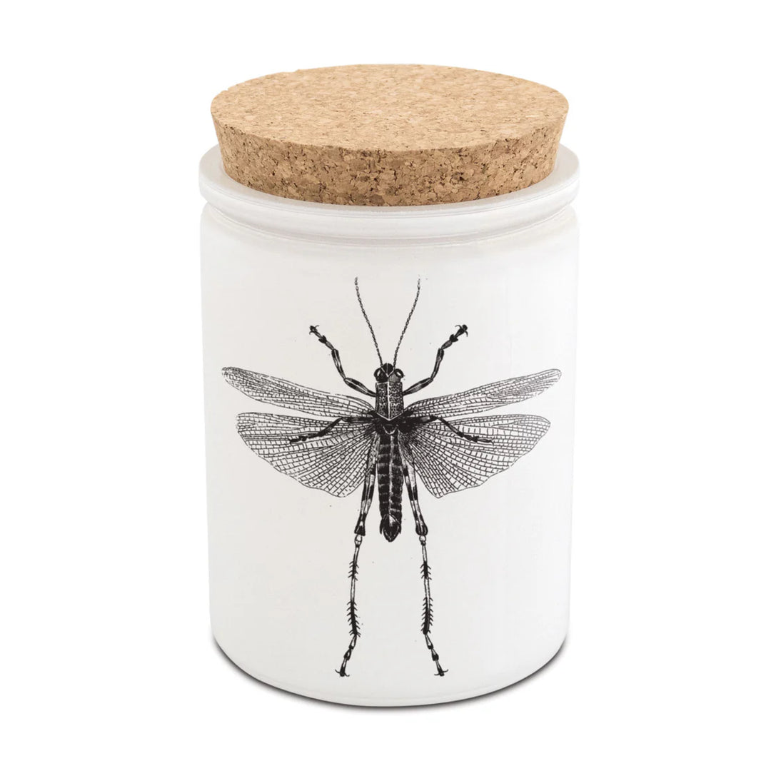 CANDLE CITRONELLA EUCALYPTUS (NRD)