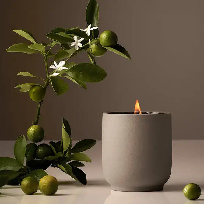CANDLE SIGNATURE HALF CASE
