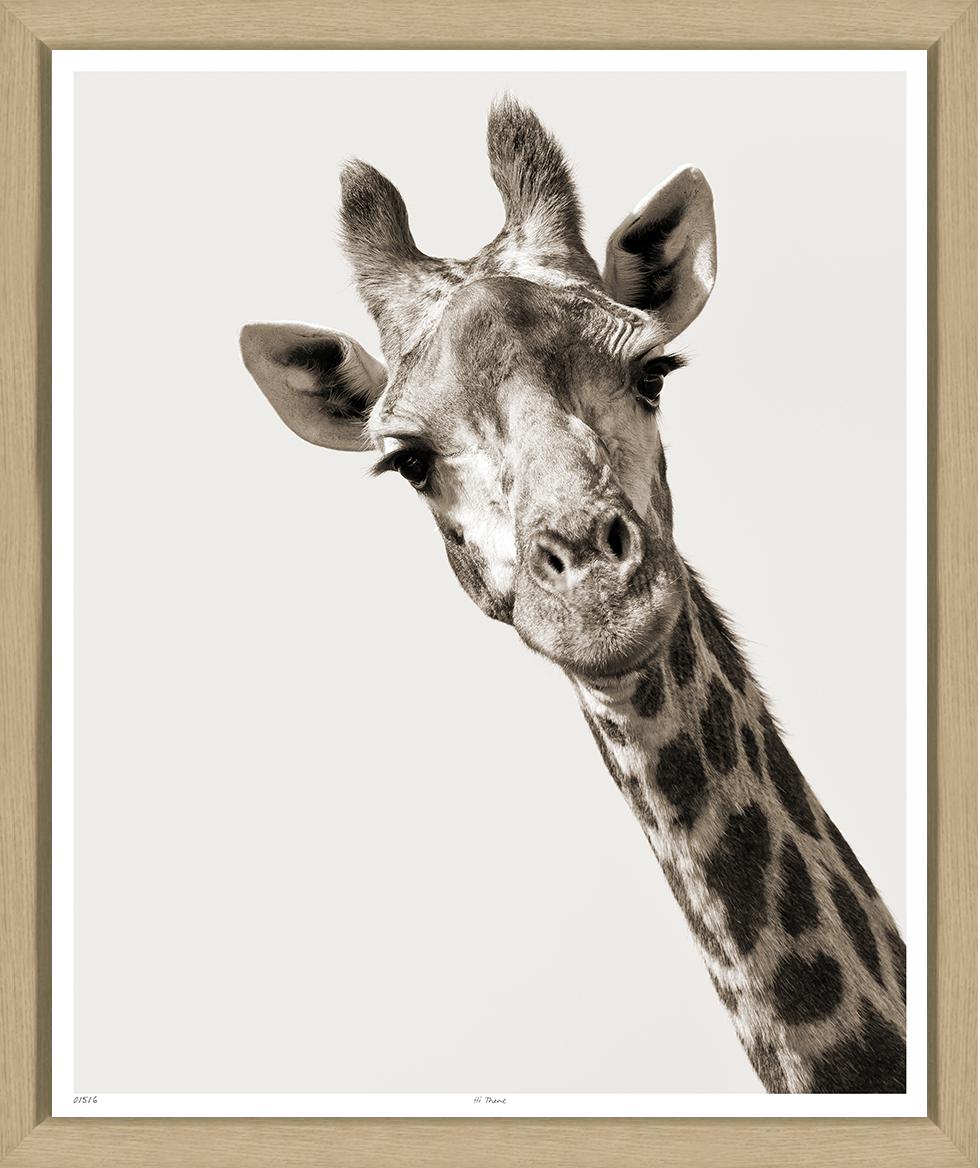ART GIRAFFE 20X24