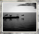 ART GERONIMO IMAGE 29" x 33"