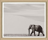 ART MIGHTY ELEPHANT IMAGE 6 43X50