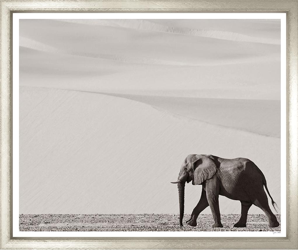 ART MIGHTY ELEPHANT IMAGE 6 43X50