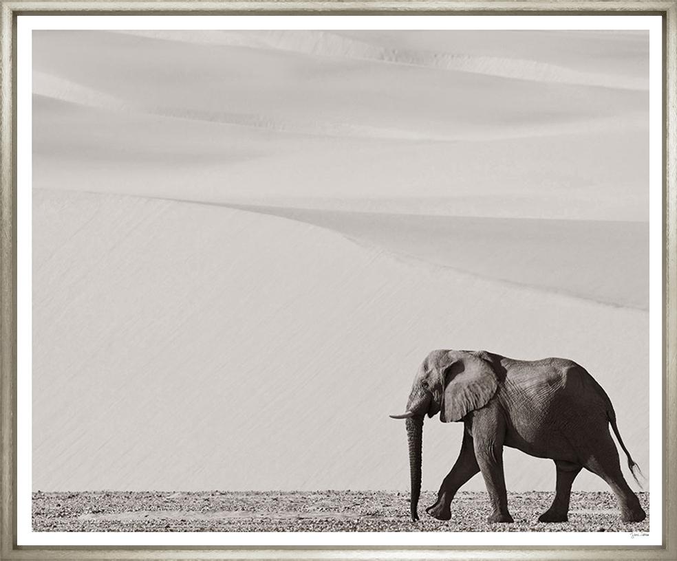 ART MIGHTY ELEPHANT 19X23 SILVER