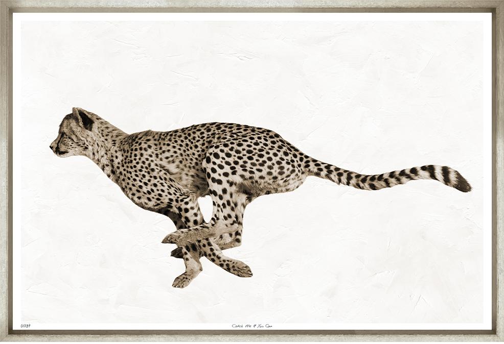 ART CATCH ME IF YOU CAN 16X23