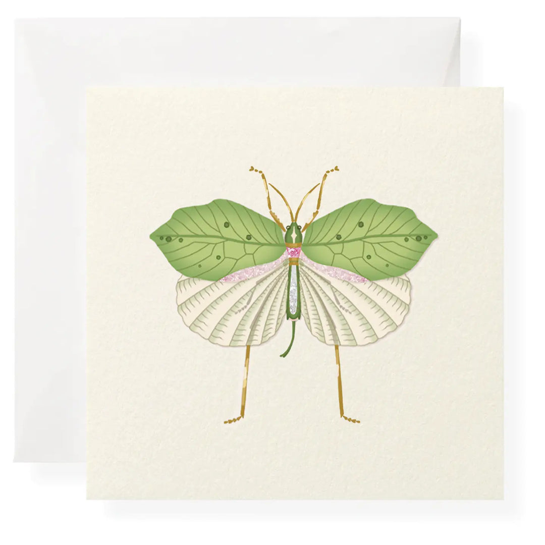 GIFT ENCLOSURE "FOOL'S BUG"