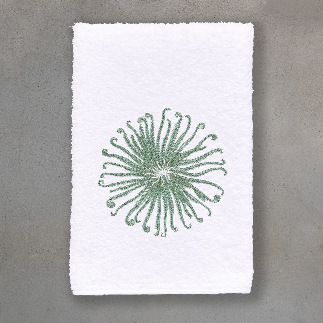 GUEST TOWEL TERRY CURLY URCHIN WHITE