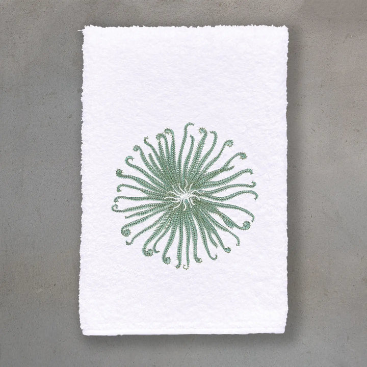 GUEST TOWEL TERRY CURLY URCHIN WHITE