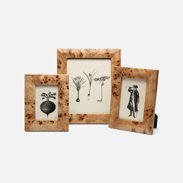 FRAME BURL MAPLE VENEER