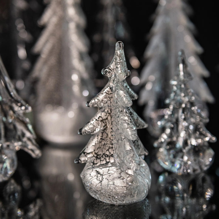 EVERGREEN SILVER LEAF