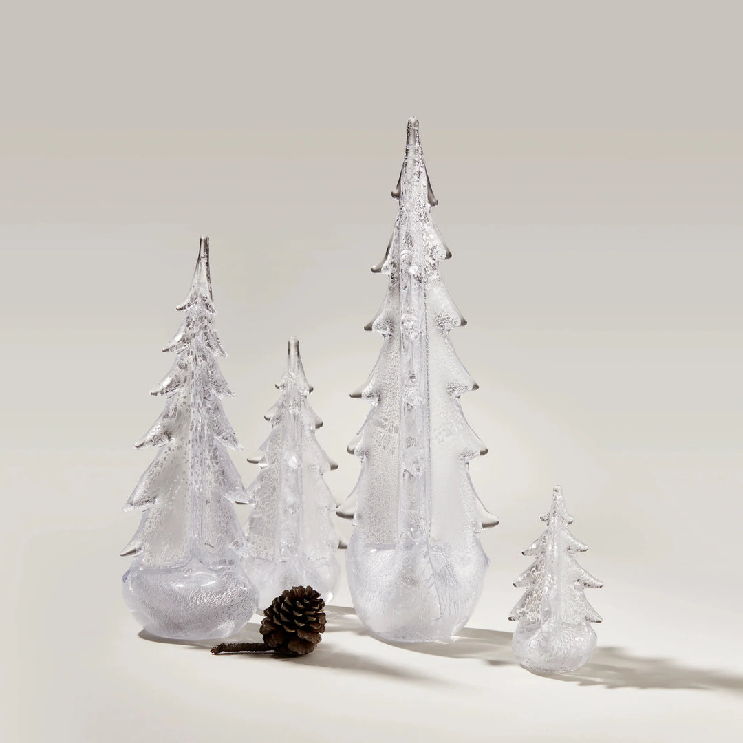 EVERGREEN SILVER LEAF