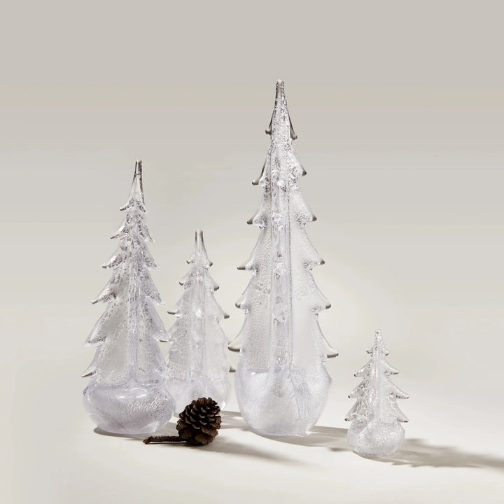 EVERGREEN SILVER LEAF