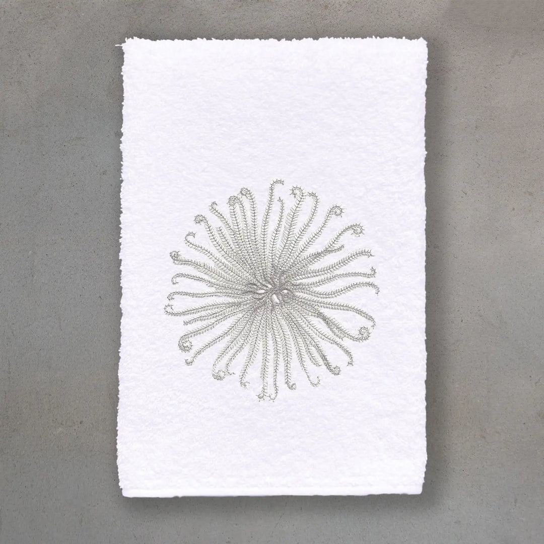 GUEST TOWEL TERRY CURLY URCHIN WHITE