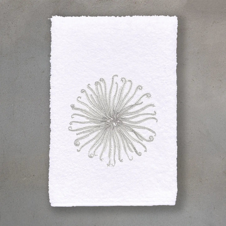 GUEST TOWEL TERRY CURLY URCHIN WHITE