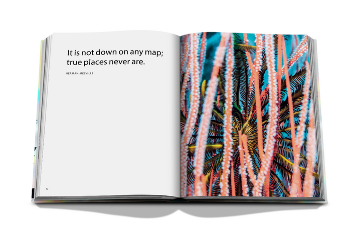 BOOK "THE CORAL TRIANGLE" #59035