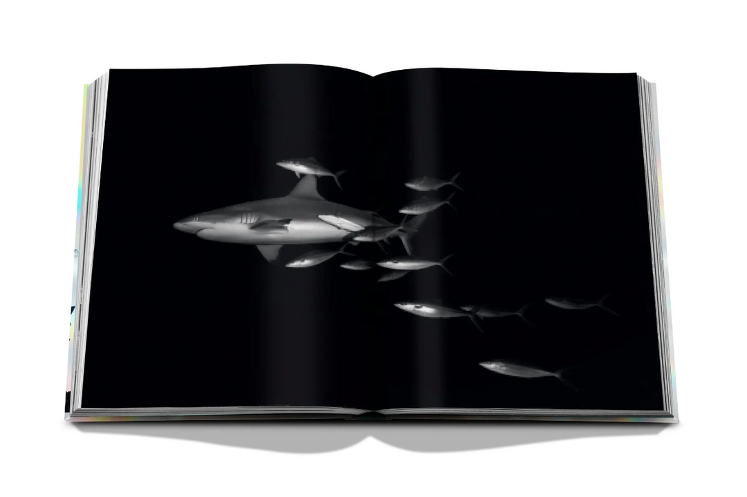 BOOK "THE CORAL TRIANGLE" #59035