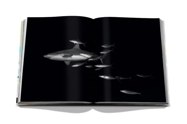 BOOK "THE CORAL TRIANGLE" #59035