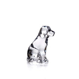 GLASS DOG CLEAR