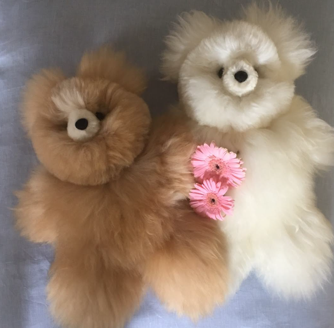 TOY TEDDY BEARS ALPACA X-SMALL #40052