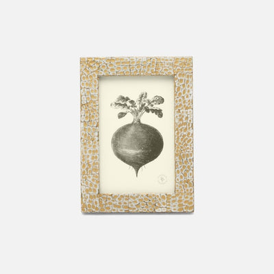 FRAME GOLD/WHITE LACQUERED EGGSHELL (Available in 2 Sizes)