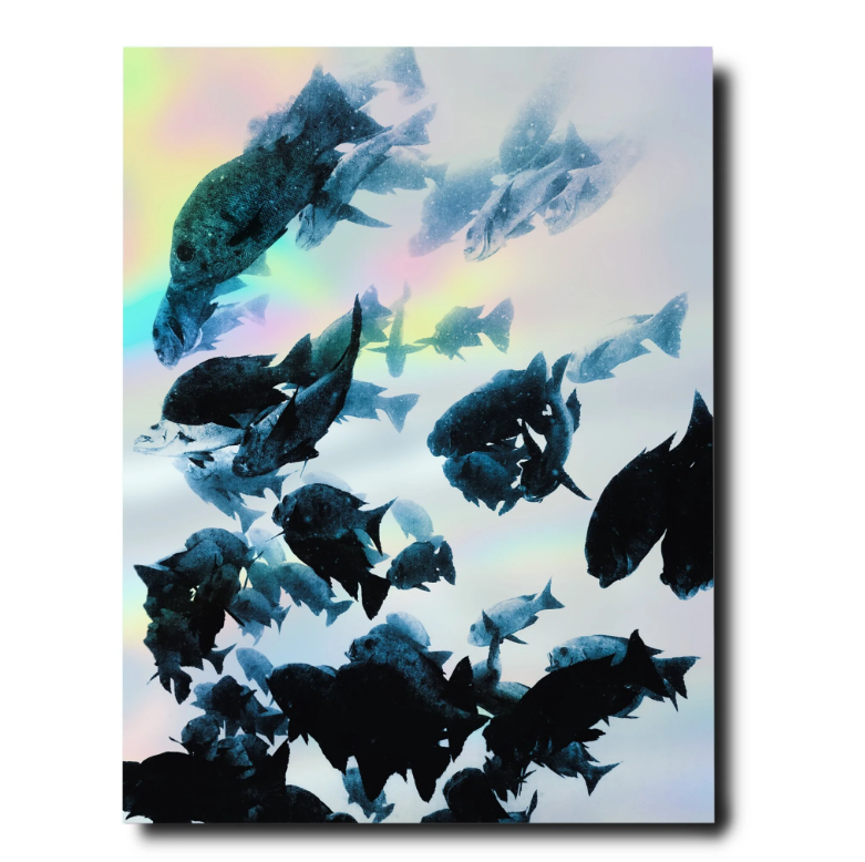 BOOK "THE CORAL TRIANGLE" #59035