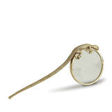 MAGNIFYING GLASS GECKO