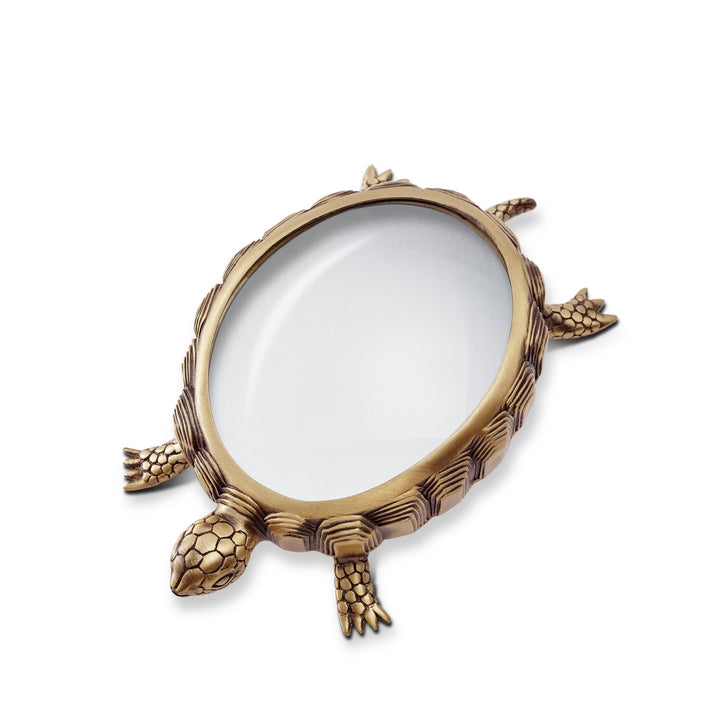 MAGNIFYING GLASS TURTLE #28646