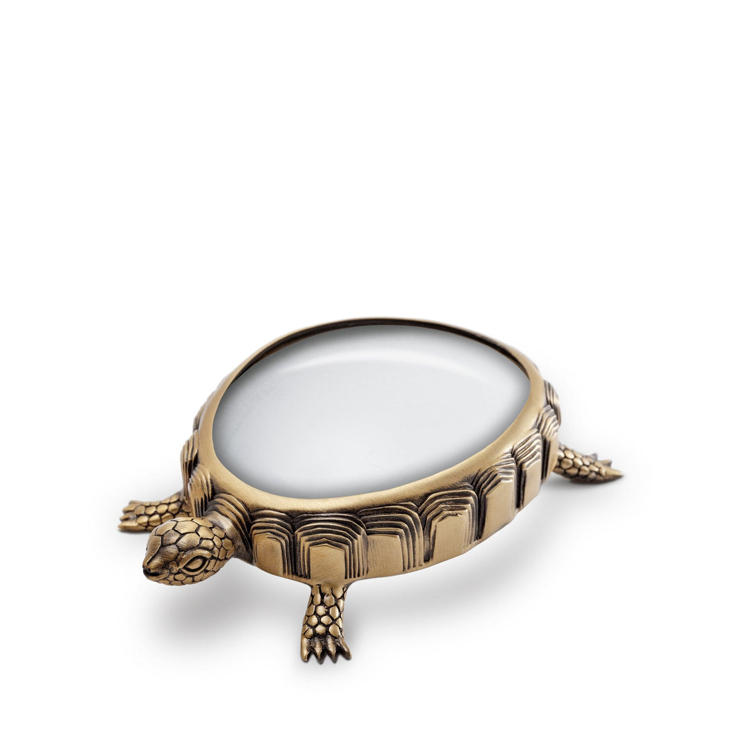 MAGNIFYING GLASS TURTLE #28646