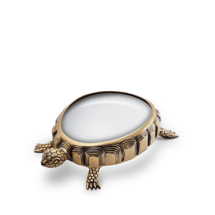 MAGNIFYING GLASS TURTLE #28646