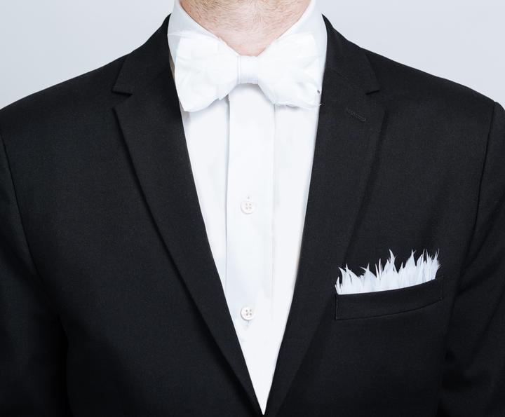 BOW TIE FEATHER - CAREW #61679