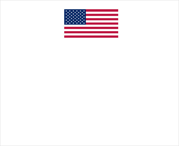 NOTEPAD LUXE EXPRESSIONS AMERICAN FLAG