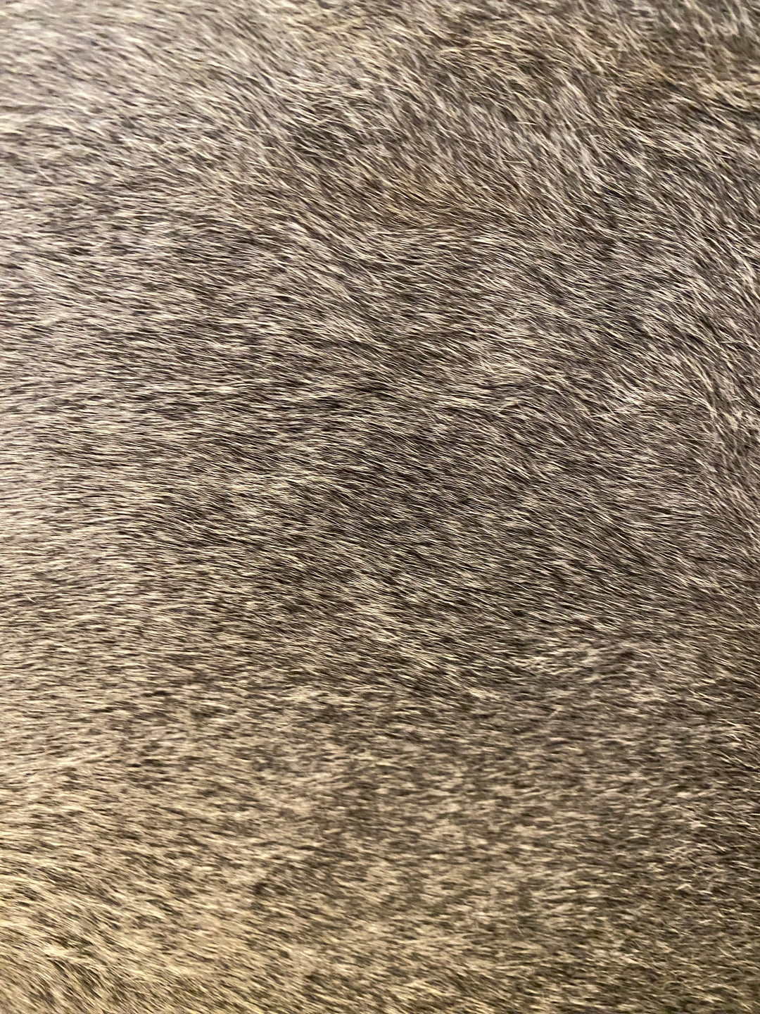 BEDSIDE CHEST NATURAL HIDE WITH ACRYLIC BAR PULL #46053